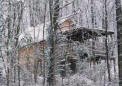 Deer Watch Cabins-Pets Welcome!