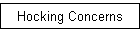 Hocking Concerns