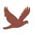 Bird Watching Areas
