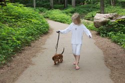 Hocking Hills Kid Friendly - Trails