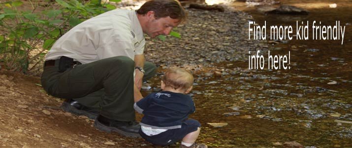 Kidfriendly.heartofhocking.com